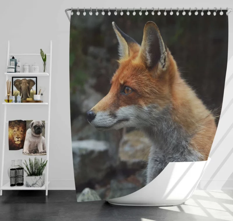 Sly Fox Gaze Nature Curiosity Shower Curtain