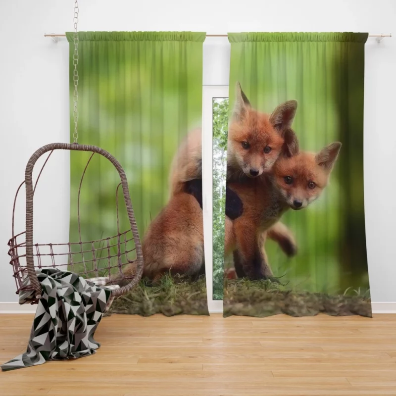 Sly Fox Play Nature Trickster Curtain