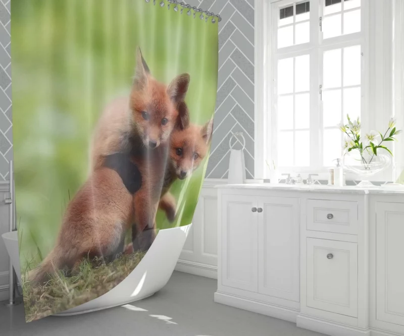 Sly Fox Play Nature Trickster Shower Curtain 1