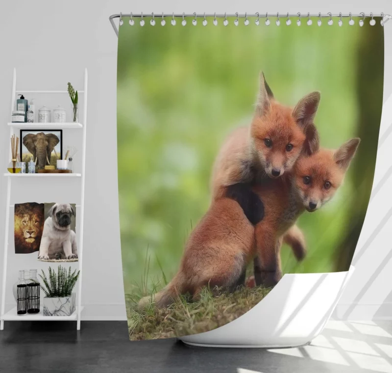 Sly Fox Play Nature Trickster Shower Curtain