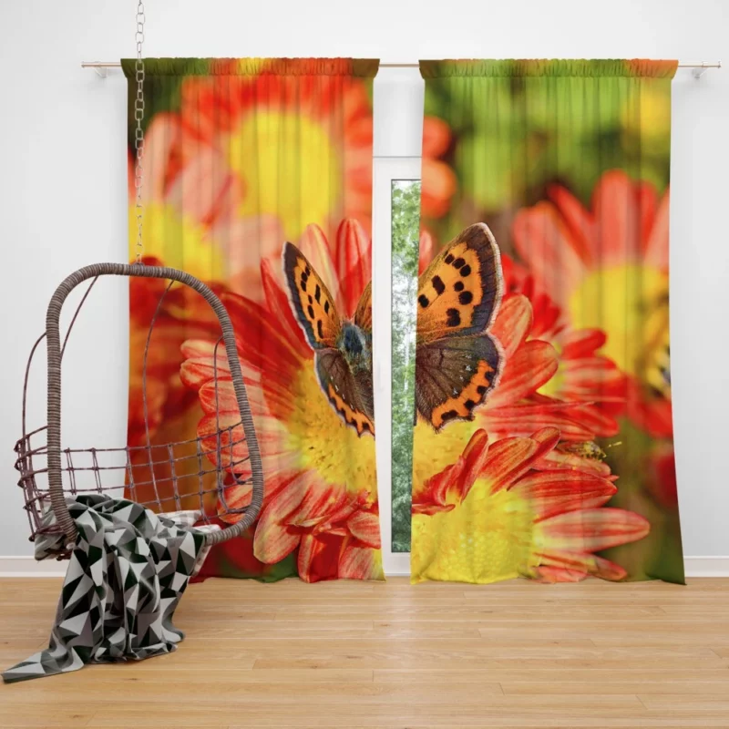 Small Copper on Chrysanthemum Floral Beauty Curtain