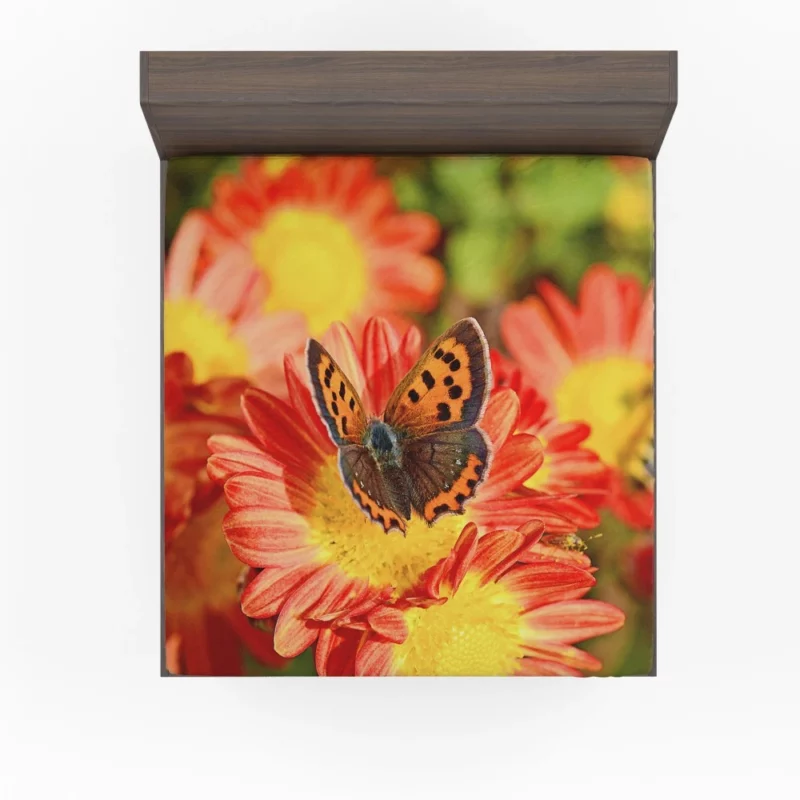 Small Copper on Chrysanthemum Floral Beauty Fitted Sheet 1