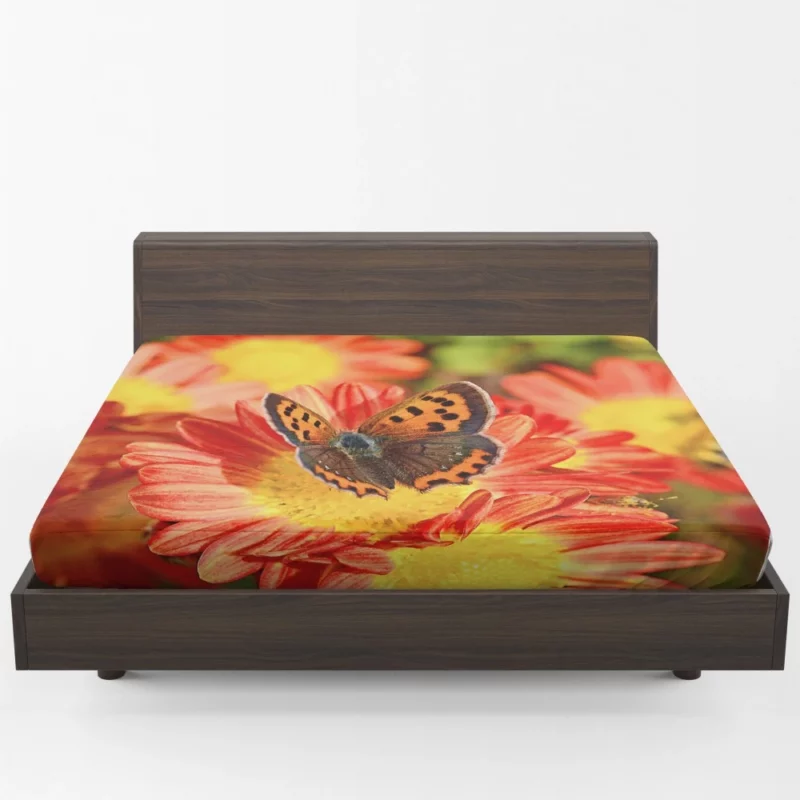 Small Copper on Chrysanthemum Floral Beauty Fitted Sheet