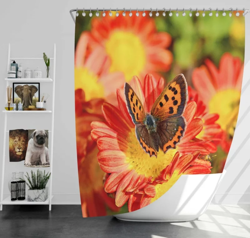 Small Copper on Chrysanthemum Floral Beauty Shower Curtain