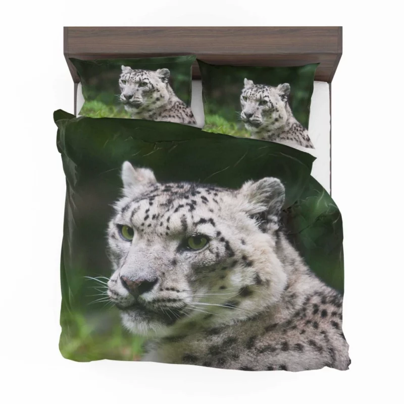 Snow Leopard Arctic Majesty Wilderness Grace Bedding Set 1