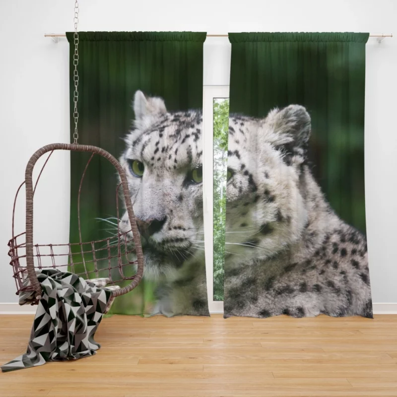 Snow Leopard Arctic Majesty Wilderness Grace Curtain