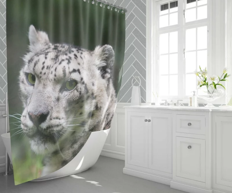 Snow Leopard Arctic Majesty Wilderness Grace Shower Curtain 1