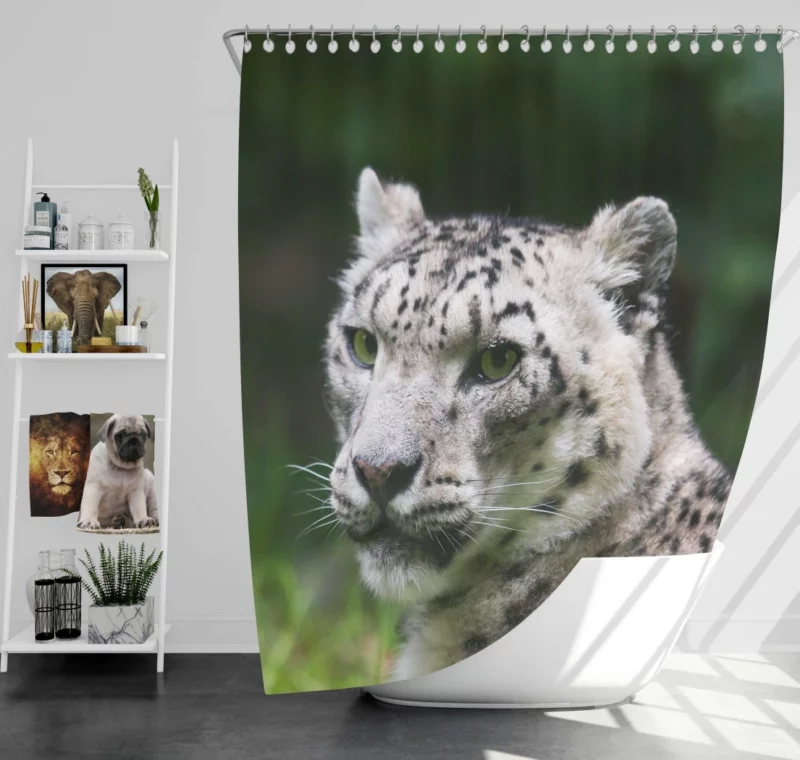 Snow Leopard Arctic Majesty Wilderness Grace Shower Curtain