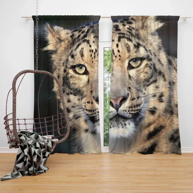 Snow Leopard Enigmatic Beauty Curtain