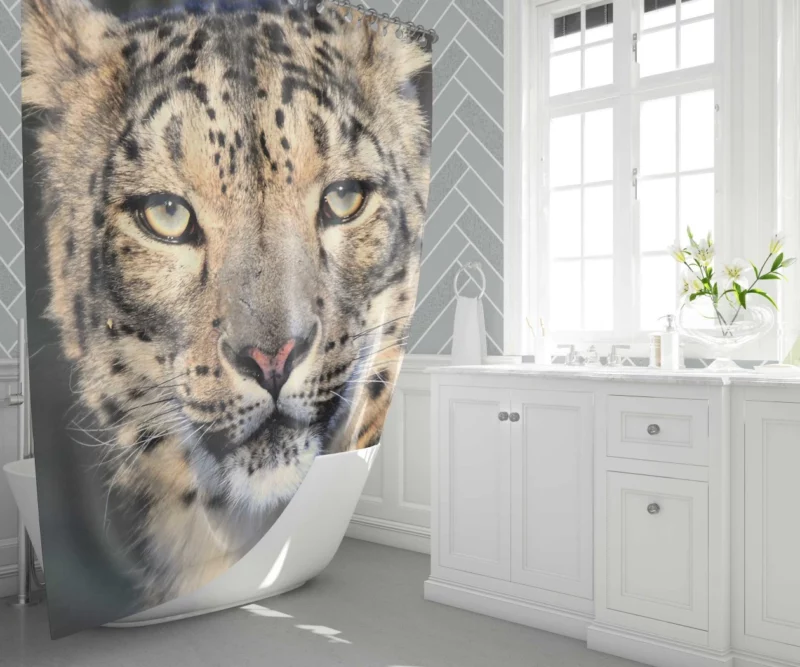 Snow Leopard Enigmatic Beauty Shower Curtain 1