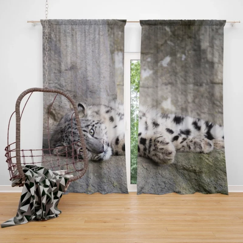 Snow Leopard Majestic Stance Arctic Beauty Curtain