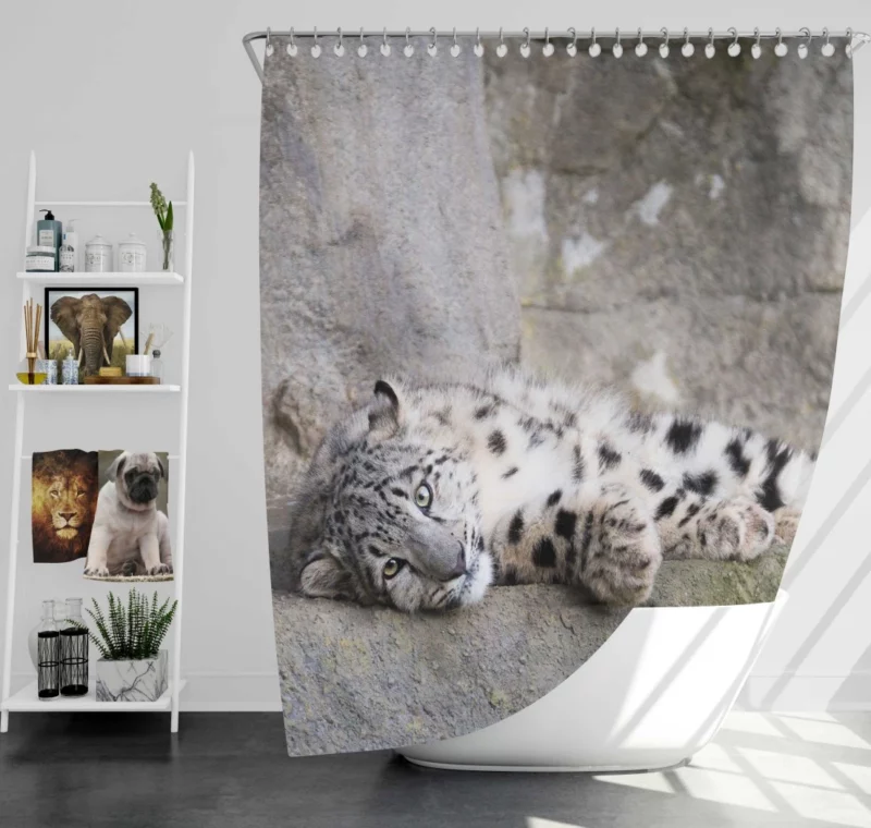 Snow Leopard Majestic Stance Arctic Beauty Shower Curtain