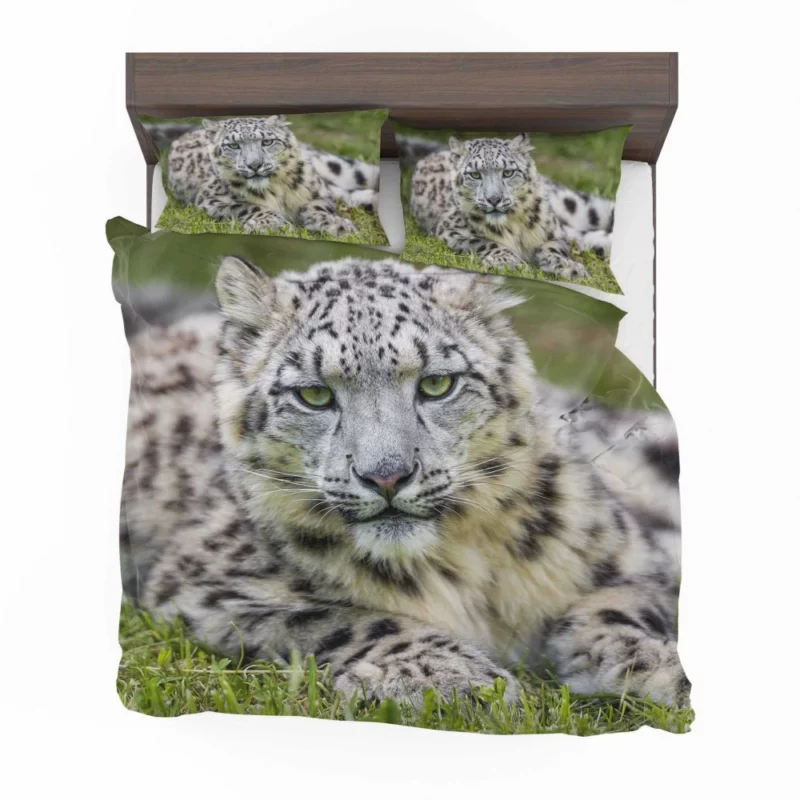 Snow Leopard Mystique Wilderness Elegance Bedding Set 1