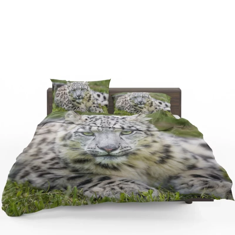 Snow Leopard Mystique Wilderness Elegance Bedding Set