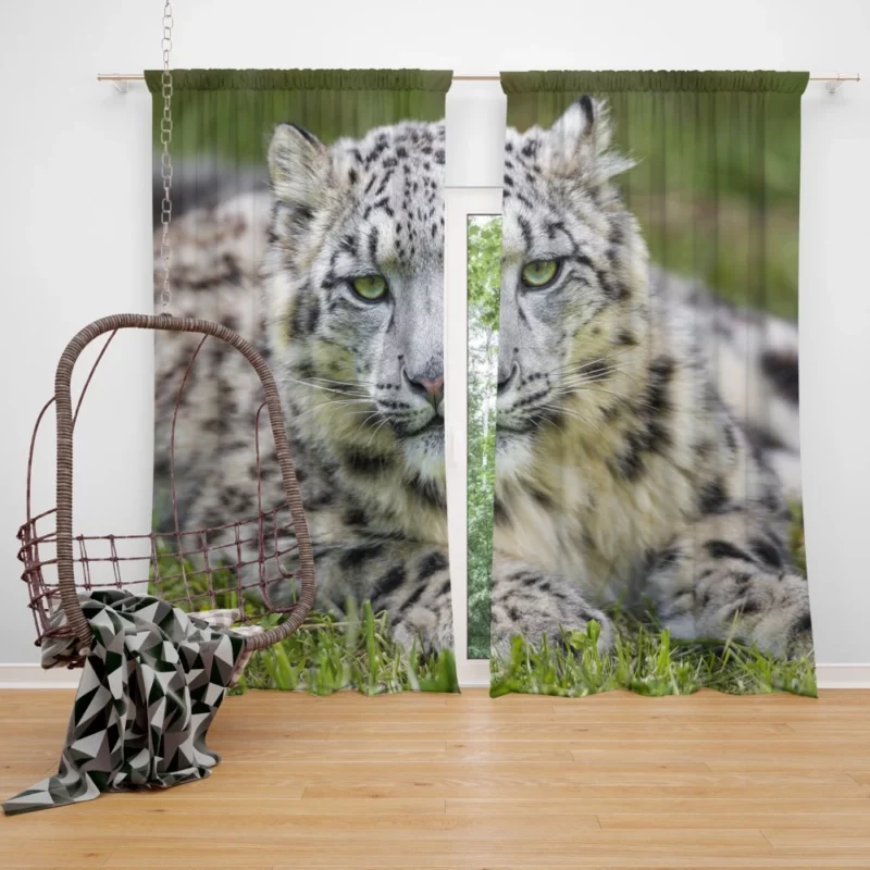 Snow Leopard Mystique Wilderness Elegance Curtain