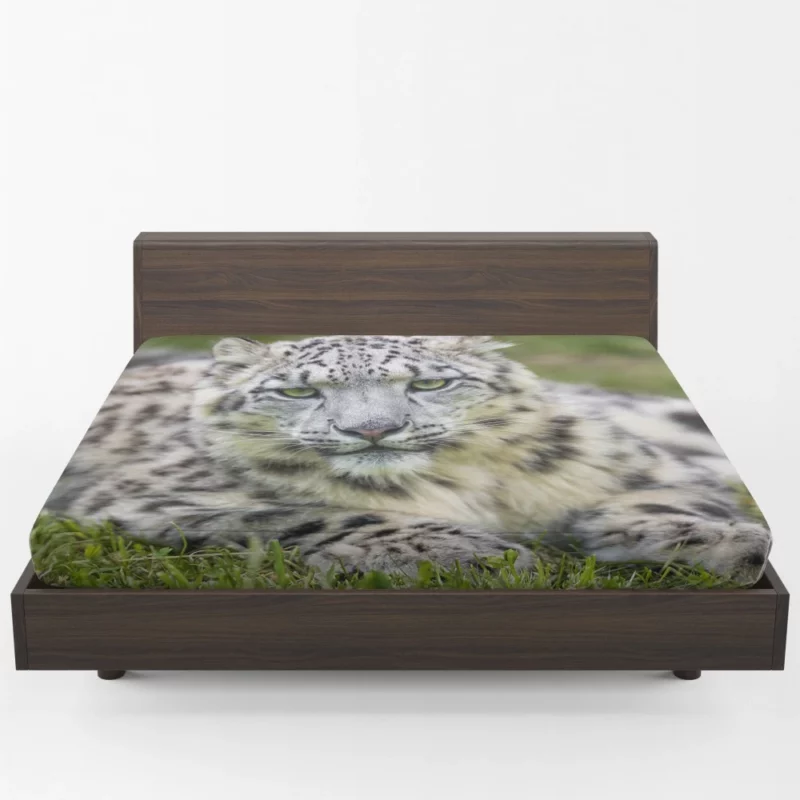 Snow Leopard Mystique Wilderness Elegance Fitted Sheet