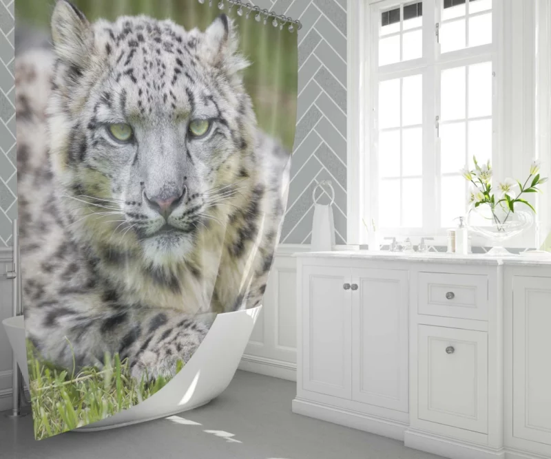 Snow Leopard Mystique Wilderness Elegance Shower Curtain 1