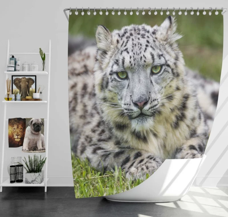 Snow Leopard Mystique Wilderness Elegance Shower Curtain