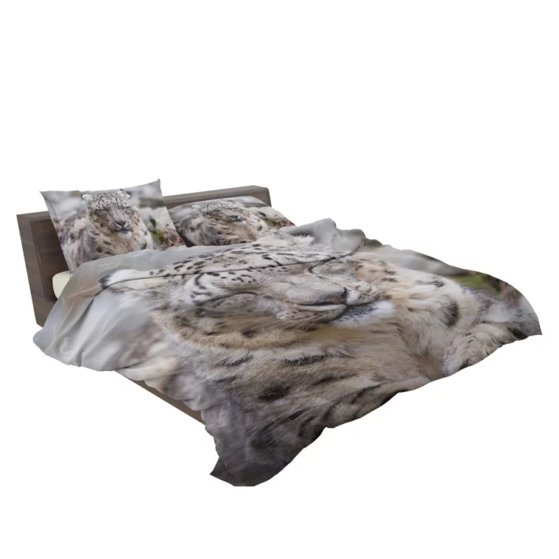 Snow Leopard Pristine Majesty Himalayan Bedding Set 2