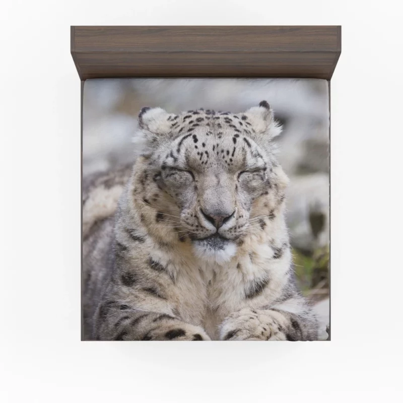 Snow Leopard Pristine Majesty Himalayan Fitted Sheet 1