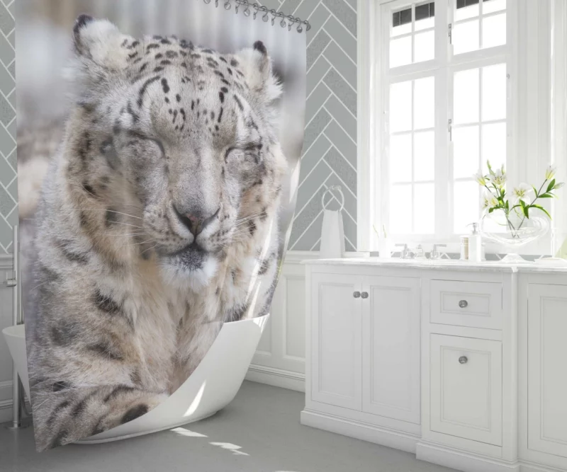 Snow Leopard Pristine Majesty Himalayan Shower Curtain 1