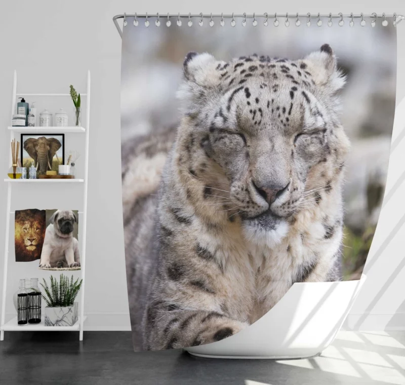 Snow Leopard Pristine Majesty Himalayan Shower Curtain