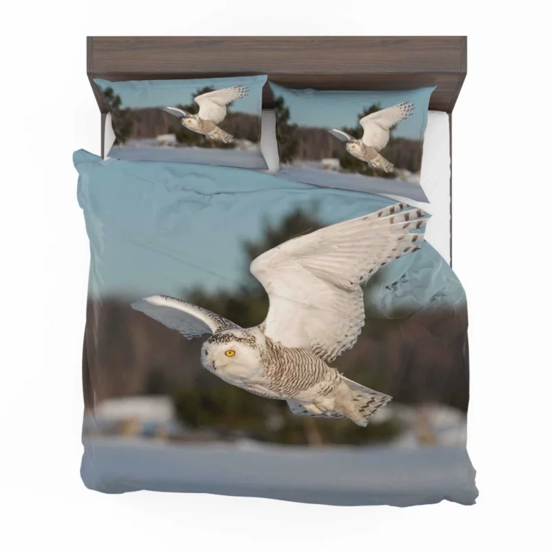 Snowy Owl Majestic Presence Nocturnal Watch Bedding Set 1