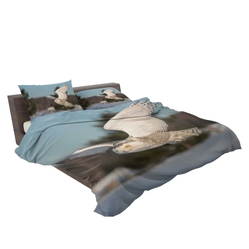 Snowy Owl Majestic Presence Nocturnal Watch Bedding Set 2