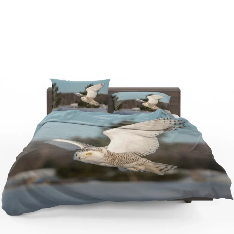 Snowy Owl Majestic Presence Nocturnal Watch Bedding Set