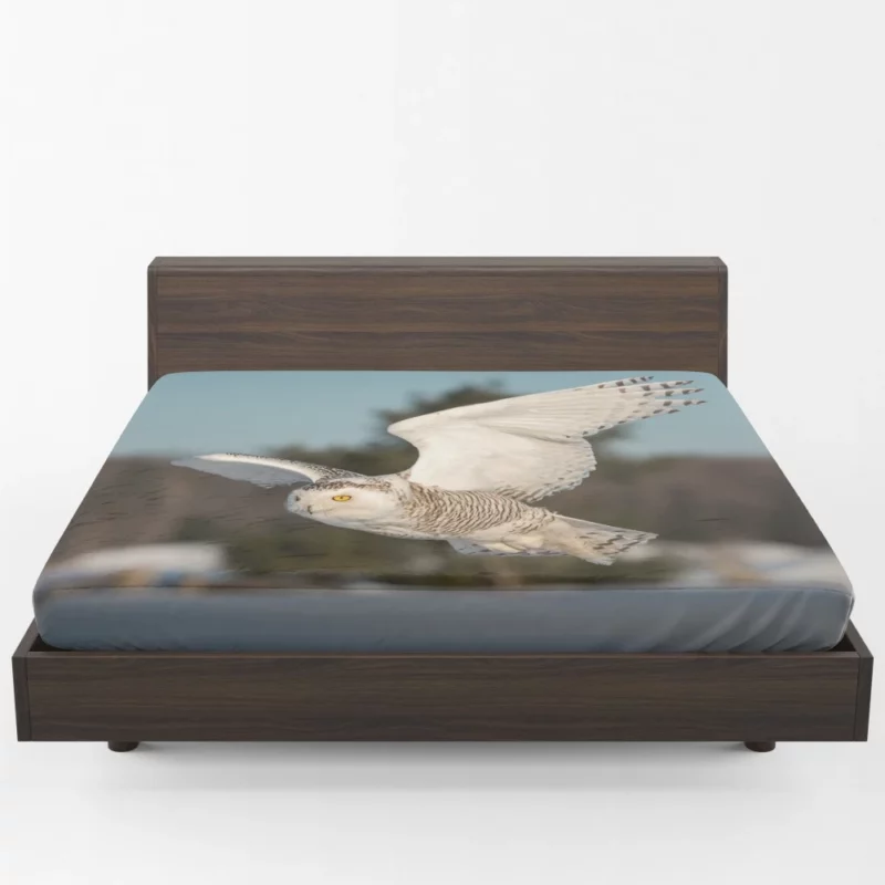 Snowy Owl Majestic Presence Nocturnal Watch Fitted Sheet