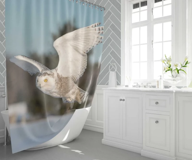 Snowy Owl Majestic Presence Nocturnal Watch Shower Curtain 1