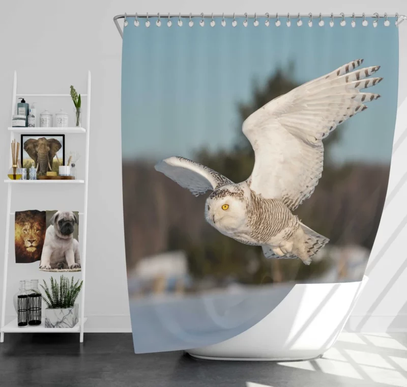 Snowy Owl Majestic Presence Nocturnal Watch Shower Curtain