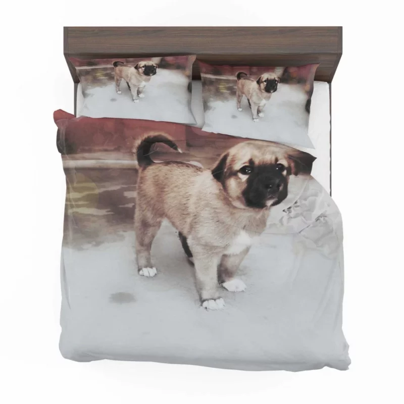 Snowy-Pup Innocent Gaze Playful Charm Bedding Set 1