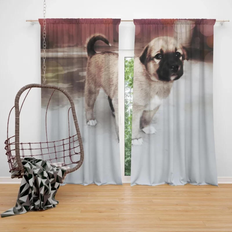 Snowy-Pup Innocent Gaze Playful Charm Curtain