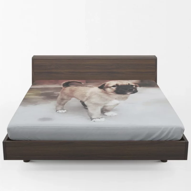 Snowy-Pup Innocent Gaze Playful Charm Fitted Sheet