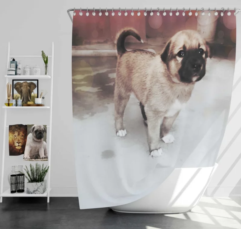 Snowy-Pup Innocent Gaze Playful Charm Shower Curtain