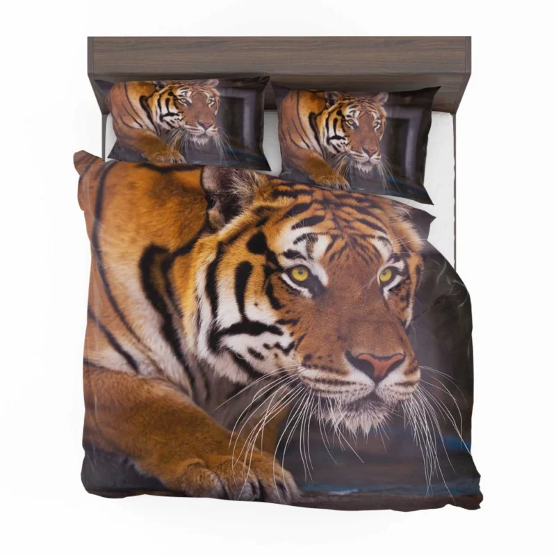 Snowy Tiger Enigmatic Gaze Wilderness Majesty Bedding Set 1