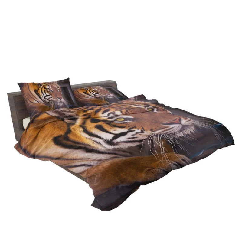 Snowy Tiger Enigmatic Gaze Wilderness Majesty Bedding Set 2