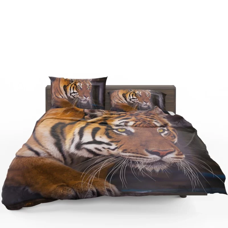 Snowy Tiger Enigmatic Gaze Wilderness Majesty Bedding Set