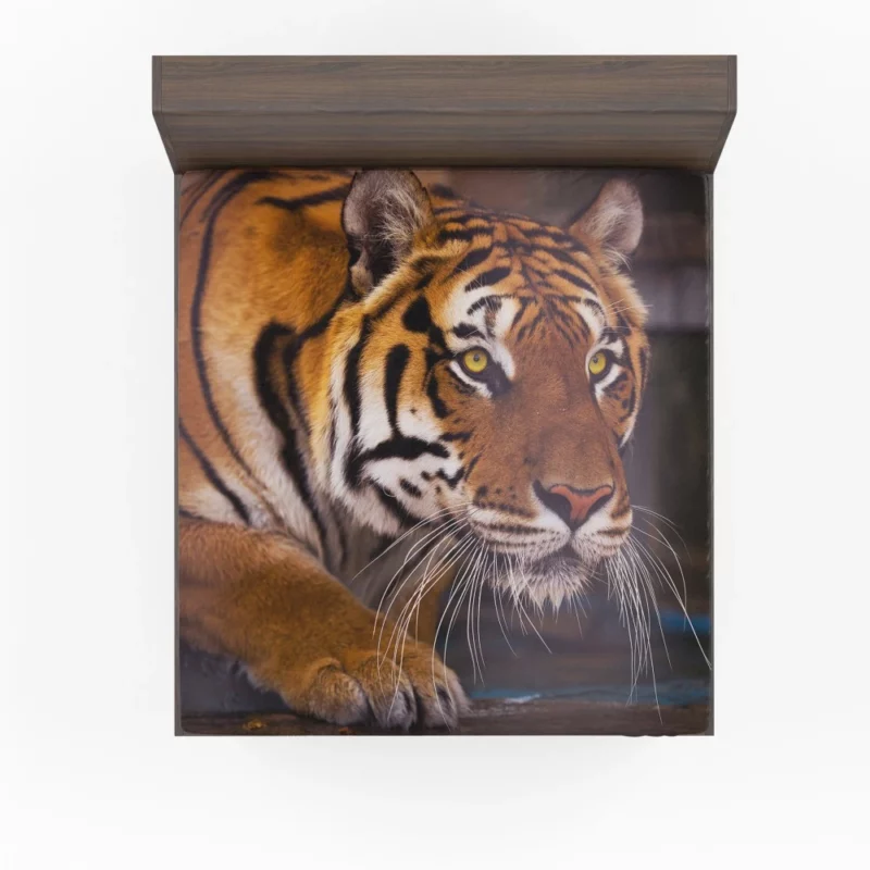 Snowy Tiger Enigmatic Gaze Wilderness Majesty Fitted Sheet 1