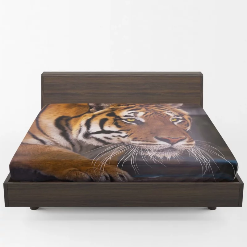 Snowy Tiger Enigmatic Gaze Wilderness Majesty Fitted Sheet