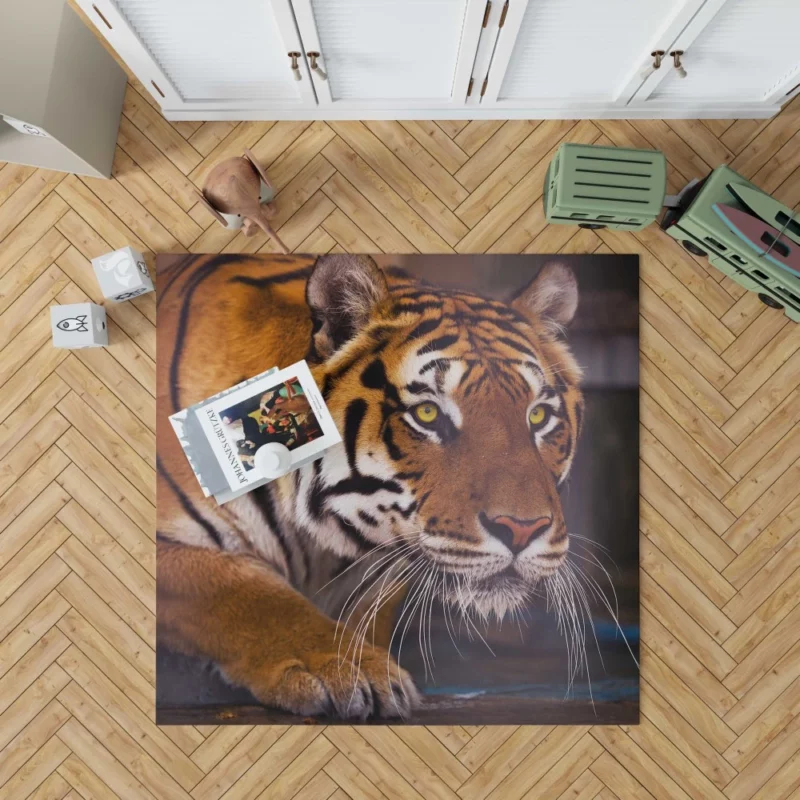 Snowy Tiger Enigmatic Gaze Wilderness Majesty Rug