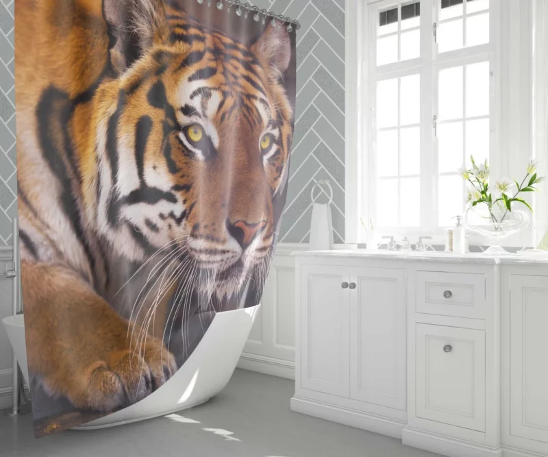 Snowy Tiger Enigmatic Gaze Wilderness Majesty Shower Curtain 1