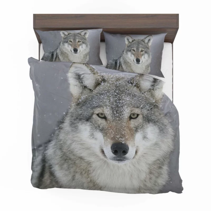 Snowy Wolf Majesty Arctic Wilderness Bedding Set 1