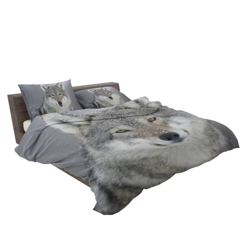 Snowy Wolf Majesty Arctic Wilderness Bedding Set 2