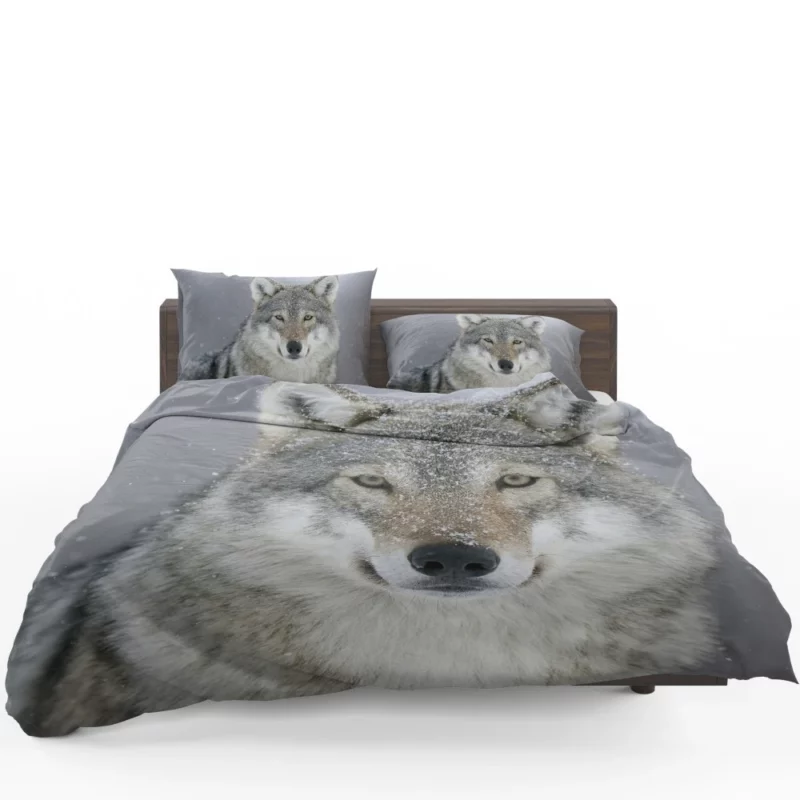 Snowy Wolf Majesty Arctic Wilderness Bedding Set