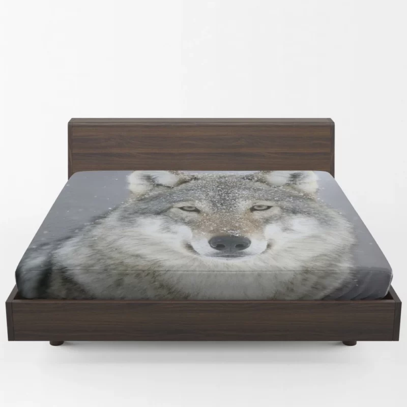 Snowy Wolf Majesty Arctic Wilderness Fitted Sheet