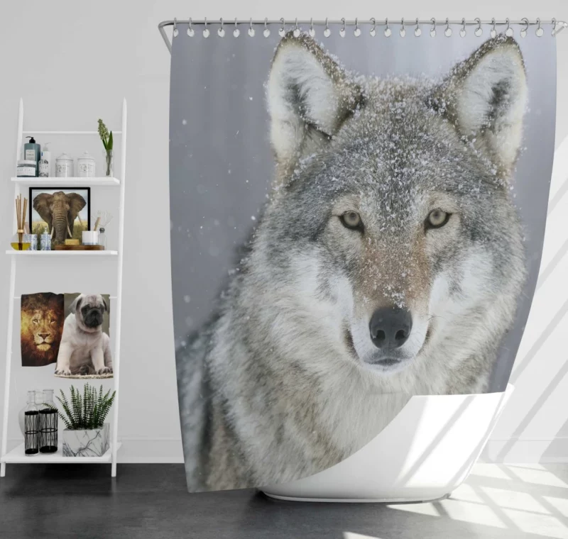 Snowy Wolf Majesty Arctic Wilderness Shower Curtain