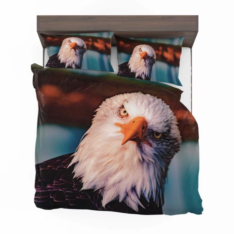 Soaring Majesty Bald Eagle Sky Hunting Bedding Set 1