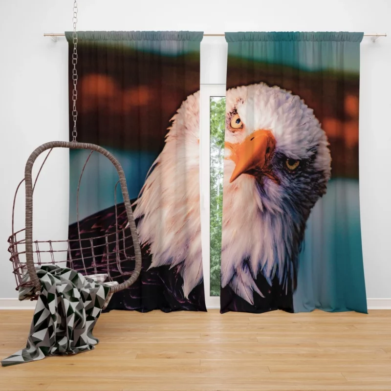 Soaring Majesty Bald Eagle Sky Hunting Curtain